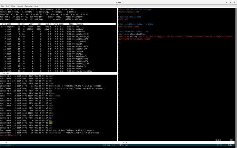 Терминал Gnu Screen